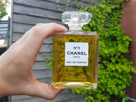 what smells similar to chanel no 5|fragrances similar to chanel 5.